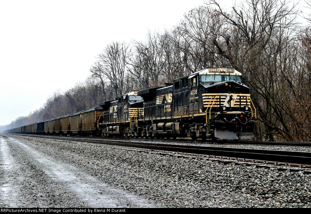 NS 4238 on 596